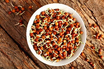 sprouted beans, chickpeas, protein, healthy, diet food, tasty, delicious, bowl, breakfast, meal, dinner, lunch, top view, pumpkin, salads, cold, ceramic, bowl, bar, rustic background, wooden, texture,