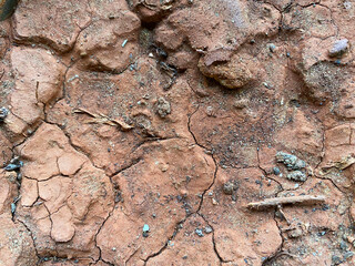 closeup view, the dried and cracked mud presents a fascinating and intricate pattern, showcasing the raw beauty of nature's textures and forms.