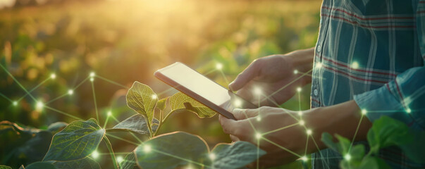Farmer using digital tablet in soybean field with connected technology icons. Modern agriculture with digital farming and smart technology. Agriculture, technology, innovation background.