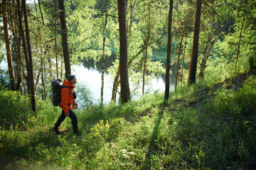 Naklejka premium Extreme long high angle view of senior male tourist wearing backpack hiking in mountain forest on summer day, copy space
