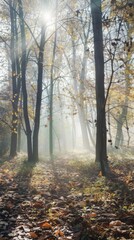 Obraz premium Fog in the autumn forest: Under the early morning sunshine, the autumn forest is filled with thin fog, and the trees and the ground are covered with a light layer of white fog. Descriptors: Autumn for
