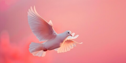 Symbolism of a white bird soaring in a pink sky representing the universal yearning for freedom. Concept Symbolism, White Bird, Pink Sky, Freedom, Universal Yearning
