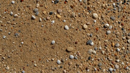Close-Up of Sandy Beach with Colorful Pebbles and Shells in Natural Sunlight