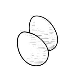 chicken eggs handdrawn illustration