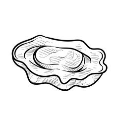 oysters handdrawn illustration