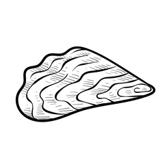oysters handdrawn illustration