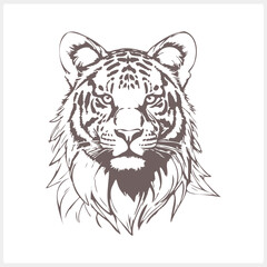 Sketch tiger tattoo isolated Animal clipart Vector stock illustration EPS 10
