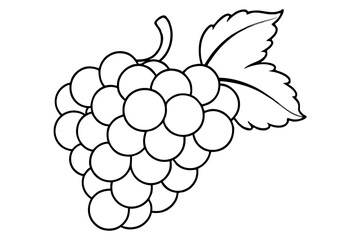 Grapes line art vector, Bunch of grapes with leaf, line art of grapes