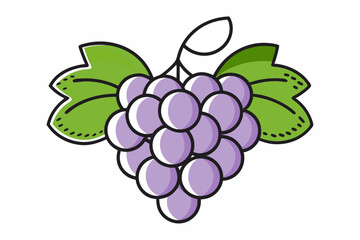 Grapes line art vector, Bunch of grapes with leaf, line art of grapes