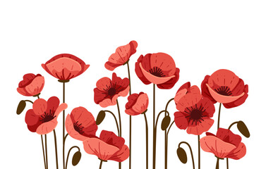 Obraz premium Red poppy flower in a row simple design vector illustration isolated on white background