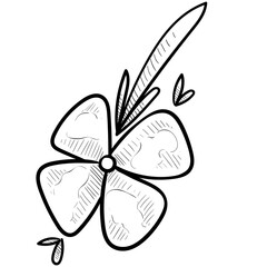 Jasmine flower handdrawn illustration