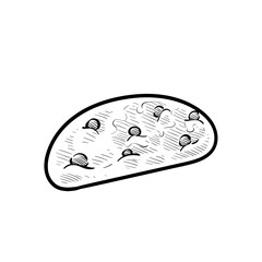 cookies handdrawn illustration