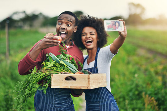 Man, woman and excited for selfie with agriculture, profile picture for social media or startup. Black people, face photography and agro business with happiness, sustainable entrepreneur with food - Powered by Adobe