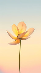 Obraz premium A beautiful flower