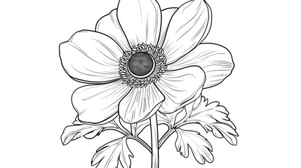 Cartoon anemone flower, outlined for coloring, on a white background.