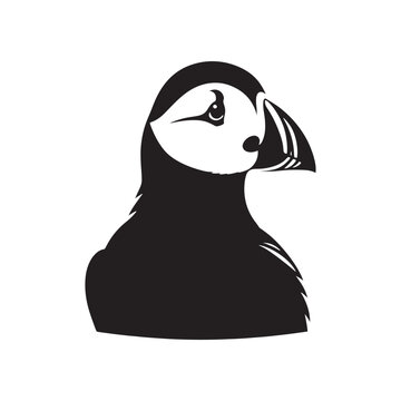 recommend clip art: Sea Bird Vector - Puffin Silhouette - Puffin Illustration - Bird Design.