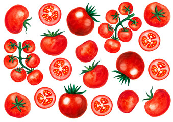 A set of different types of tomatoes. Watercolor drawing. Isolated on white background. Red tomatoes, green leaves and branches. Different shades. Whole tomatoes, cut in half, tomatoes on a branch.