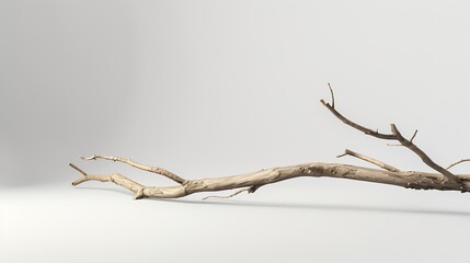 Natural wooden branch on light grey background mockup Rough textured piece of wood or twig for...