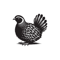 Quail Bird Vector Silhouette - Minimalist Quail Bird Design - Quail Illustration.