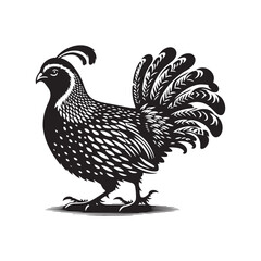 Quail Bird Vector Silhouette - Minimalist Quail Bird Design - Quail Illustration.
