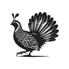 Quail Bird Vector Silhouette - Minimalist Quail Bird Design - Quail Illustration.