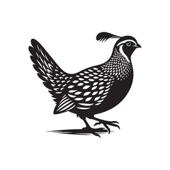 Quail Bird Vector Silhouette - Minimalist Quail Bird Design - Quail Illustration.