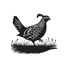 Quail Bird Vector Silhouette - Minimalist Quail Bird Design - Quail Illustration.