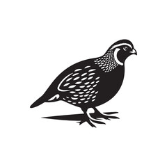 Quail Bird Vector Silhouette - Minimalist Quail Bird Design - Quail Illustration.