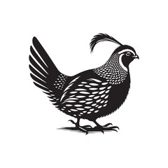 Quail Bird Vector Silhouette - Minimalist Quail Bird Design - Quail Illustration.
