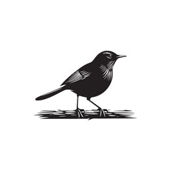 Rail Bird Vector Silhouette - Minimalist Rail Bird Design - Rail Bird Illustration.