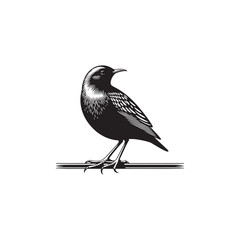 Rail Bird Vector Silhouette - Minimalist Rail Bird Design - Rail Bird Illustration.