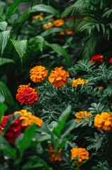 Vibrant marigold flowers blooming in a lush garden