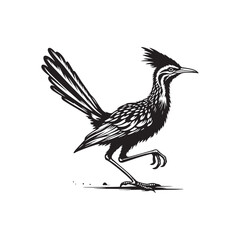 Roadrunner Bird Vector - Roadrunner Bird Silhouette - Minimalist Roadrunner Bird design.
