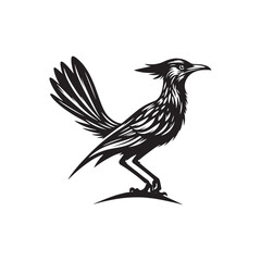 Roadrunner Bird Vector - Roadrunner Bird Silhouette - Minimalist Roadrunner Bird design.
