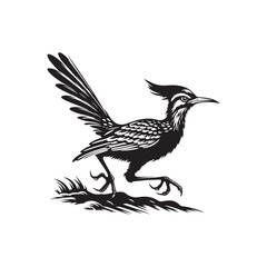 Naklejka premium Roadrunner Bird Vector - Roadrunner Bird Silhouette - Minimalist Roadrunner Bird design.
