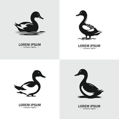 Set of Abstract Duck silhouette logo icons, with a white background for your company, the swan logo design ideas