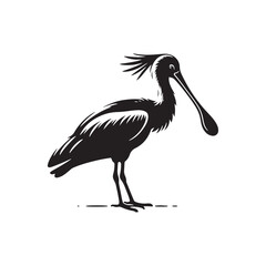 Spoonbill Bird Silhouette - Bird Vector - Spoonbill Bird 
Illustration.