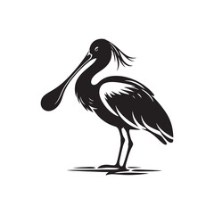 Spoonbill Bird Silhouette - Bird Vector - Spoonbill Bird 
Illustration.