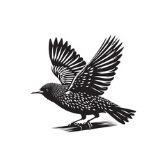 Starling Bird Vector Silhouette - Starling Bird Design - Starling Bird Illustration.
