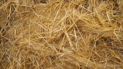 Farm background with yellow straw texture