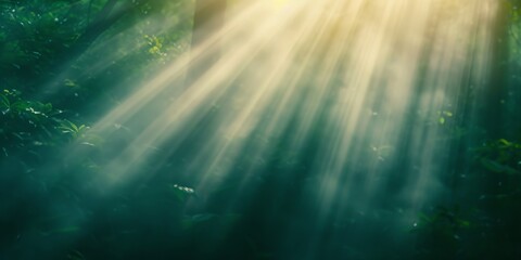 Fototapeta premium Sunlight filters through dense green foliage in a misty forest, creating serene rays of light and a natural, peaceful atmosphere.