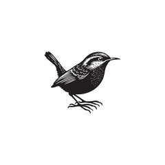 Wren Bird Vector Silhouette - Minimalist Wren Bird Design - Wren Bird Illustration.