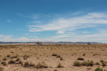 white sand dunes in the desert, White sand national Park, US
