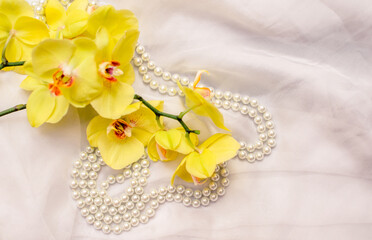 The branch of yellow orchids on white fabric background
