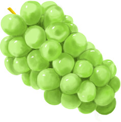 bunch of green grapes