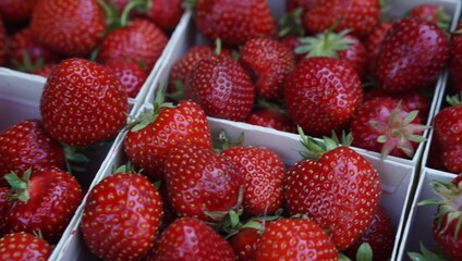 strawberries in a basket