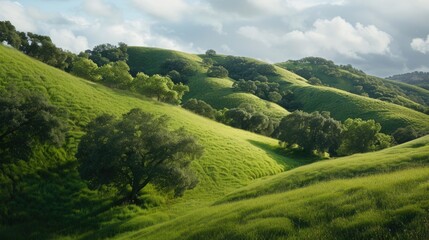 A peaceful scene of a lush green hillside with trees and grass, ideal for outdoor or nature-themed projects