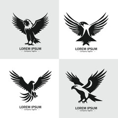 Set of Abstract eagle silhouette logo icons, with a white background for your company, the hawk logo design ideas
