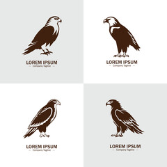 Set of sitting eagle or hawk silhouettes. Suitable for logo, emblem, pattern, typography etc. Isolated on white background. Vector illustration