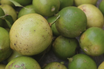 Sour orange is a native tropical fruit that grows and bears fruit in Indonesia